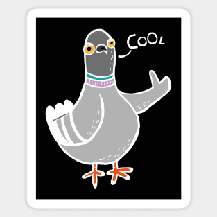 Coo / Cool Pigeon (White) Sticker